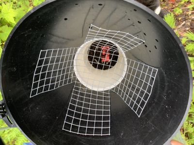 The Incidental Capture of Bats in Douglas-Fir Beetle Funnel Traps