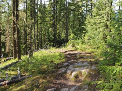 Forest Therapy Presentation Recording