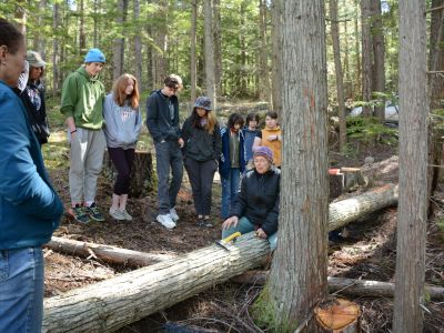 Cedar Bark Harvesting with Eloise