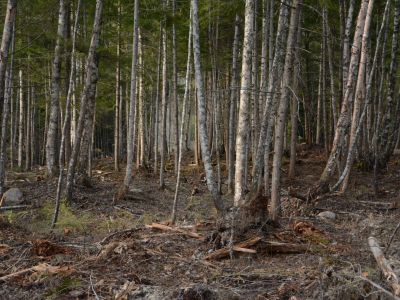 NACFOR Donations – Youth and Fire Departments