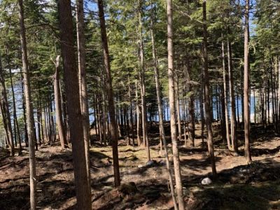 FESBC Wildfire Risk Reduction Project