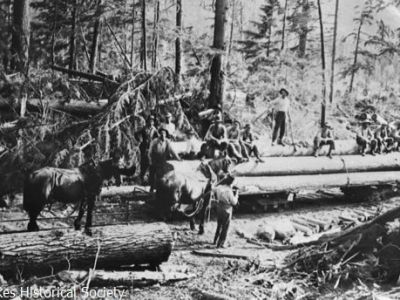 Once Upon a Tree: Forestry Through Time in the Arrow Lakes
