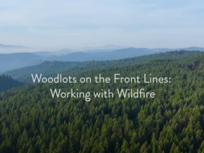BC Woodlots – Wildfire Risk Reduction on the Front Line