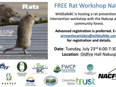 Invasive Rat Population Presentation – Postponed