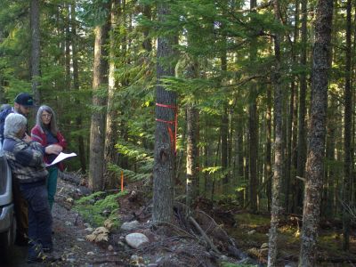 NACFOR Among 15 Community Forests Advancing Wildfire Protection Across BC