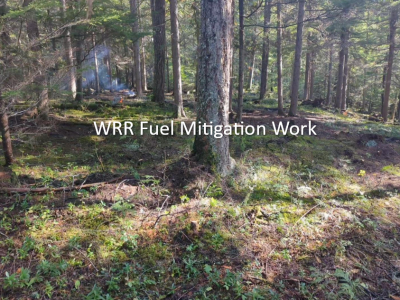 Public Notice: Fuel Mitigation work at Wensley Creek Recreation Area