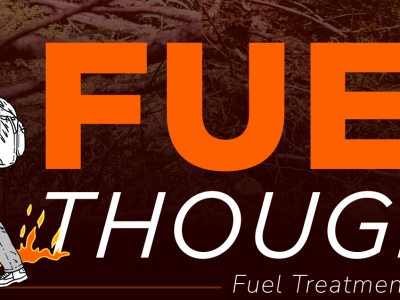 Fuel for Thought Explainer