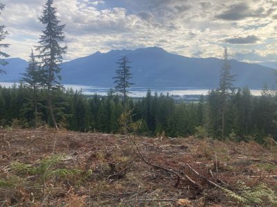 Additional Harvesting on Woodlot 406